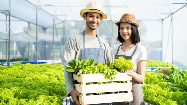 couple smiling at hydroponic garden