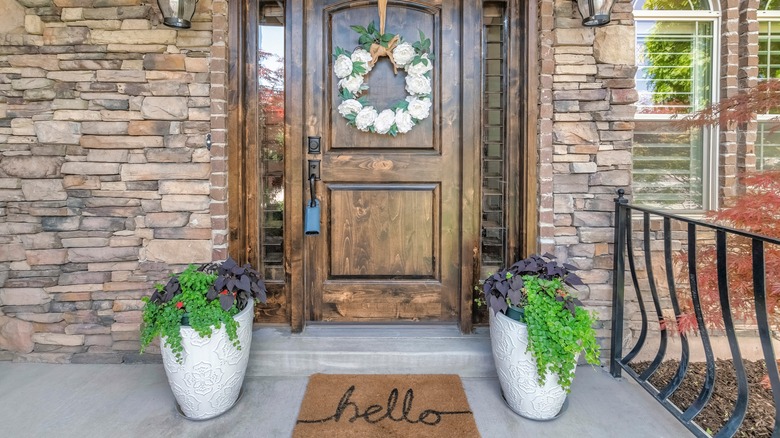 front door and flower pots