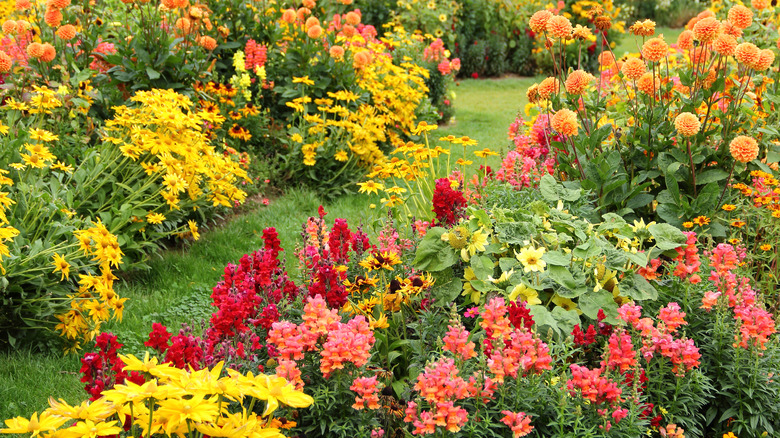 colorful spring garden