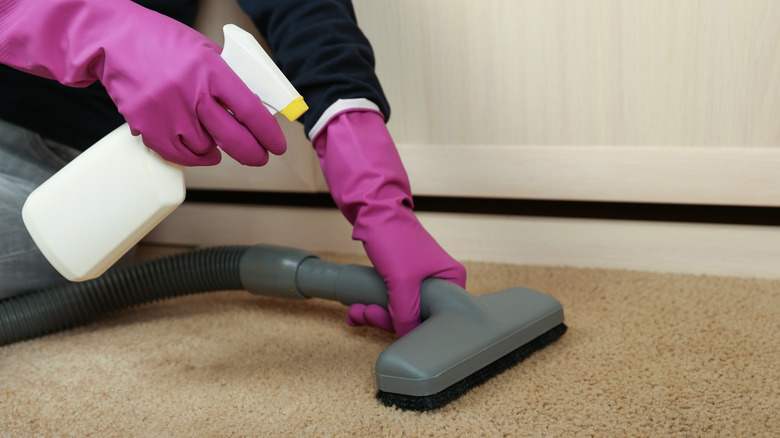 Gloved hands spraying and vacuuming 