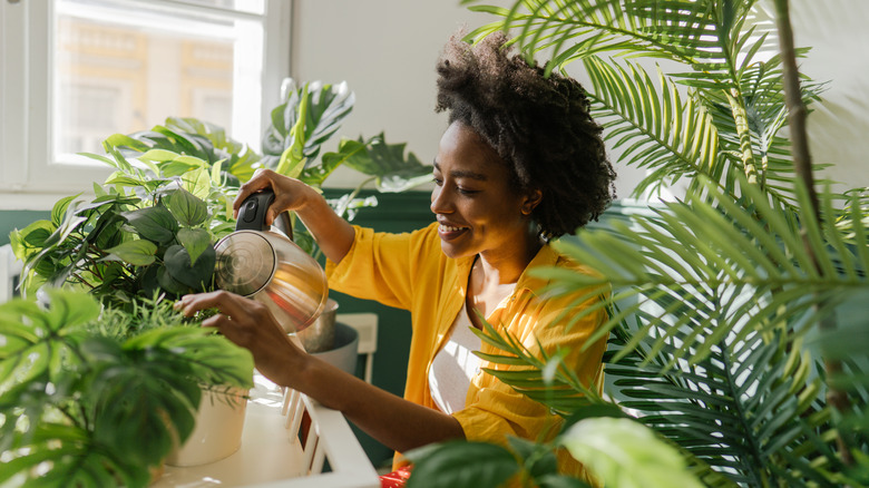 woman taking care of houseplants