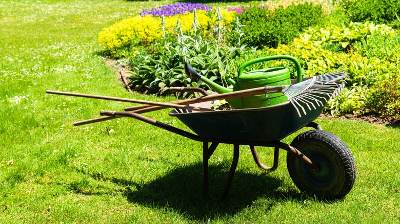 wheelbarrow rake watering can