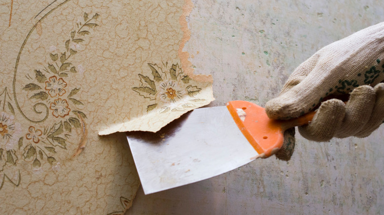 wallpaper removal scraper