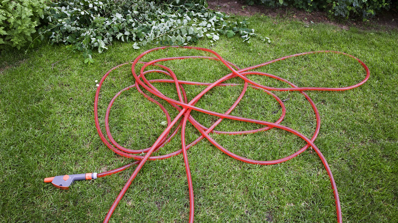 Tangled garden hose