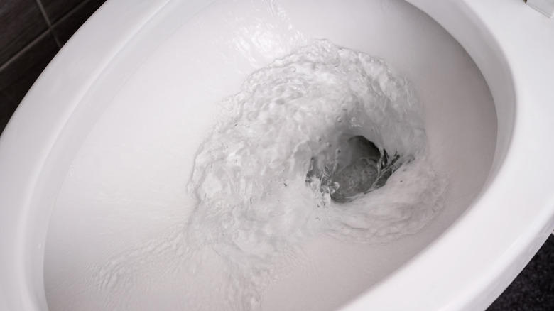 Water in a toilet bowl