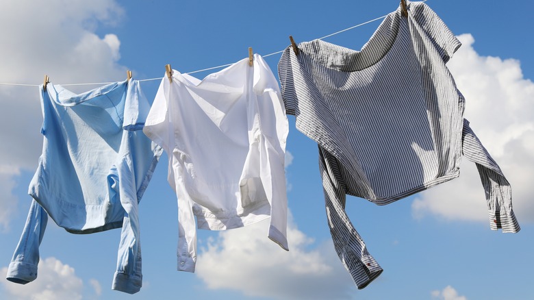 shirts drying on clothesline