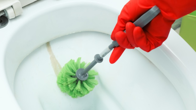 Scrubbing hard water stain toilet