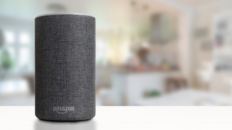 Amazon Echo on countertop