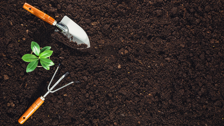 garden tools in soil